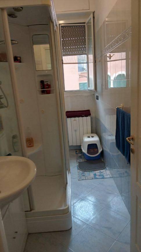 immagine annuncio 6 di 12