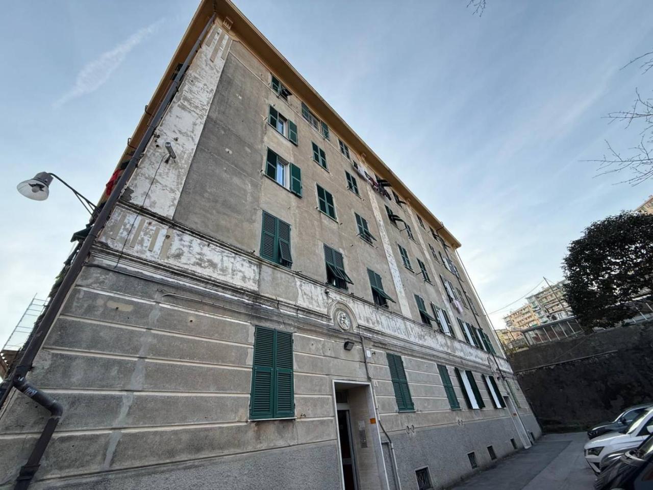 immagine annuncio 11 di 14