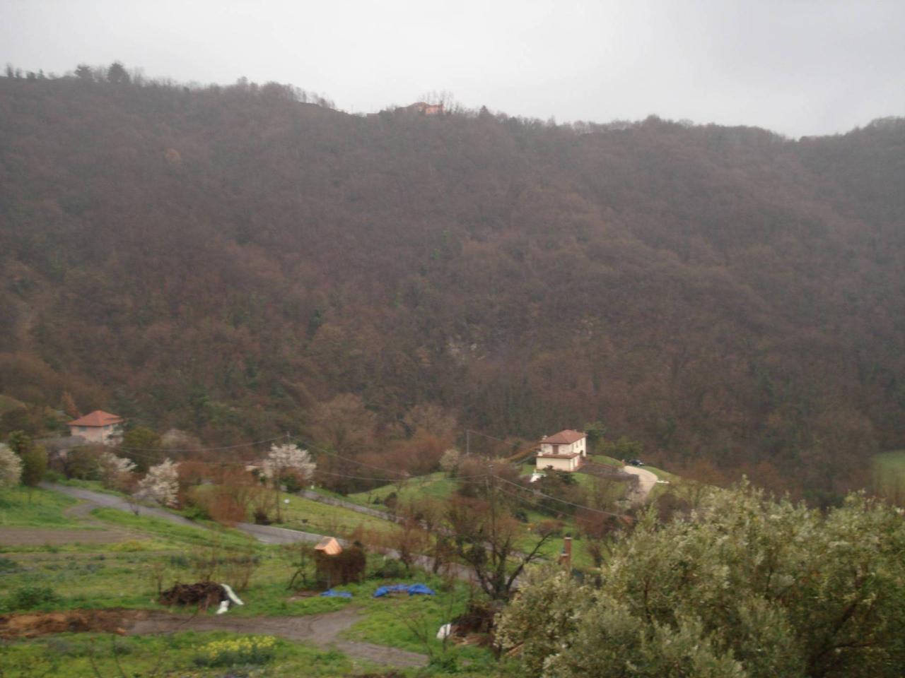 Villa in affitto a Serra Ricco'