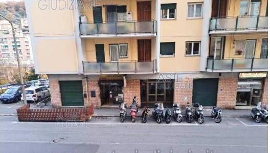 immagine annuncio 12 di 14