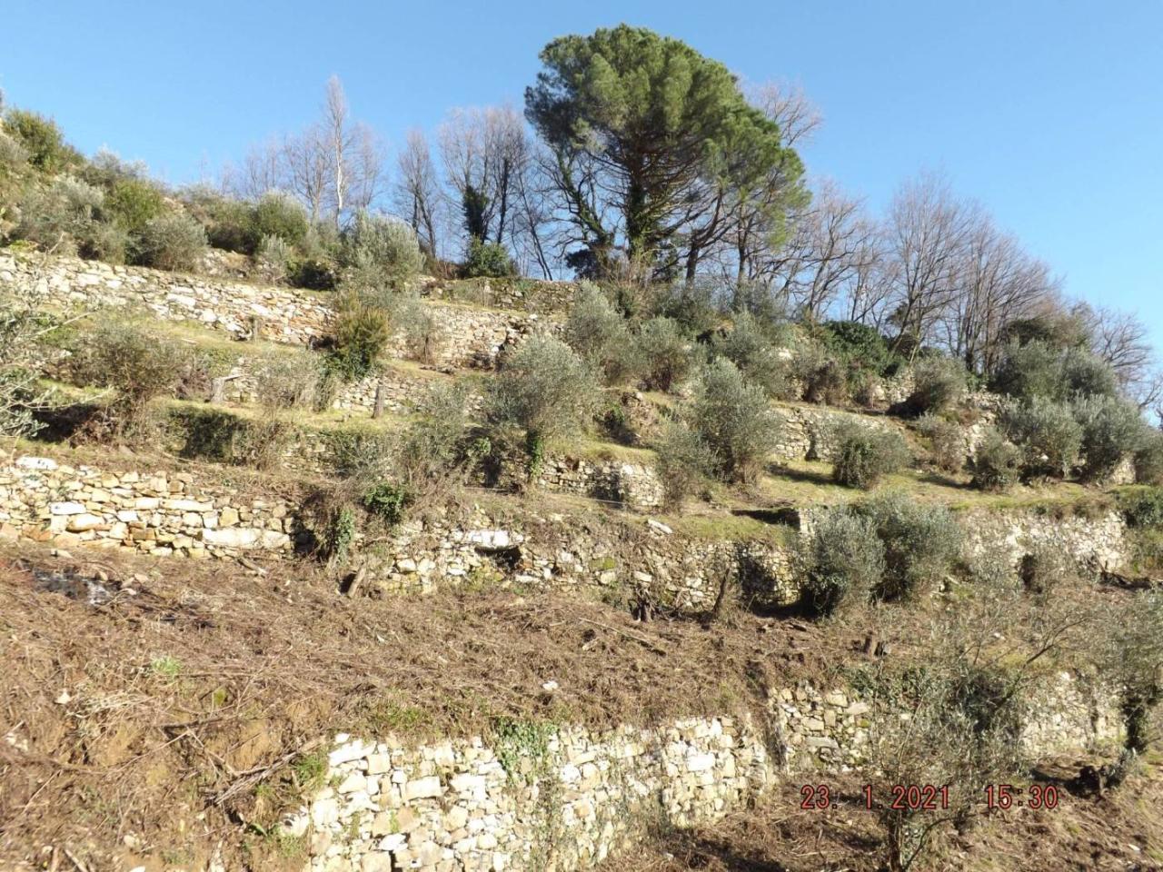 immagine annuncio 6 di 8
