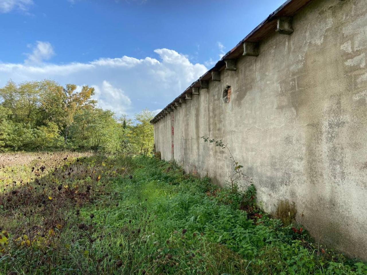 immagine annuncio 7 di 12