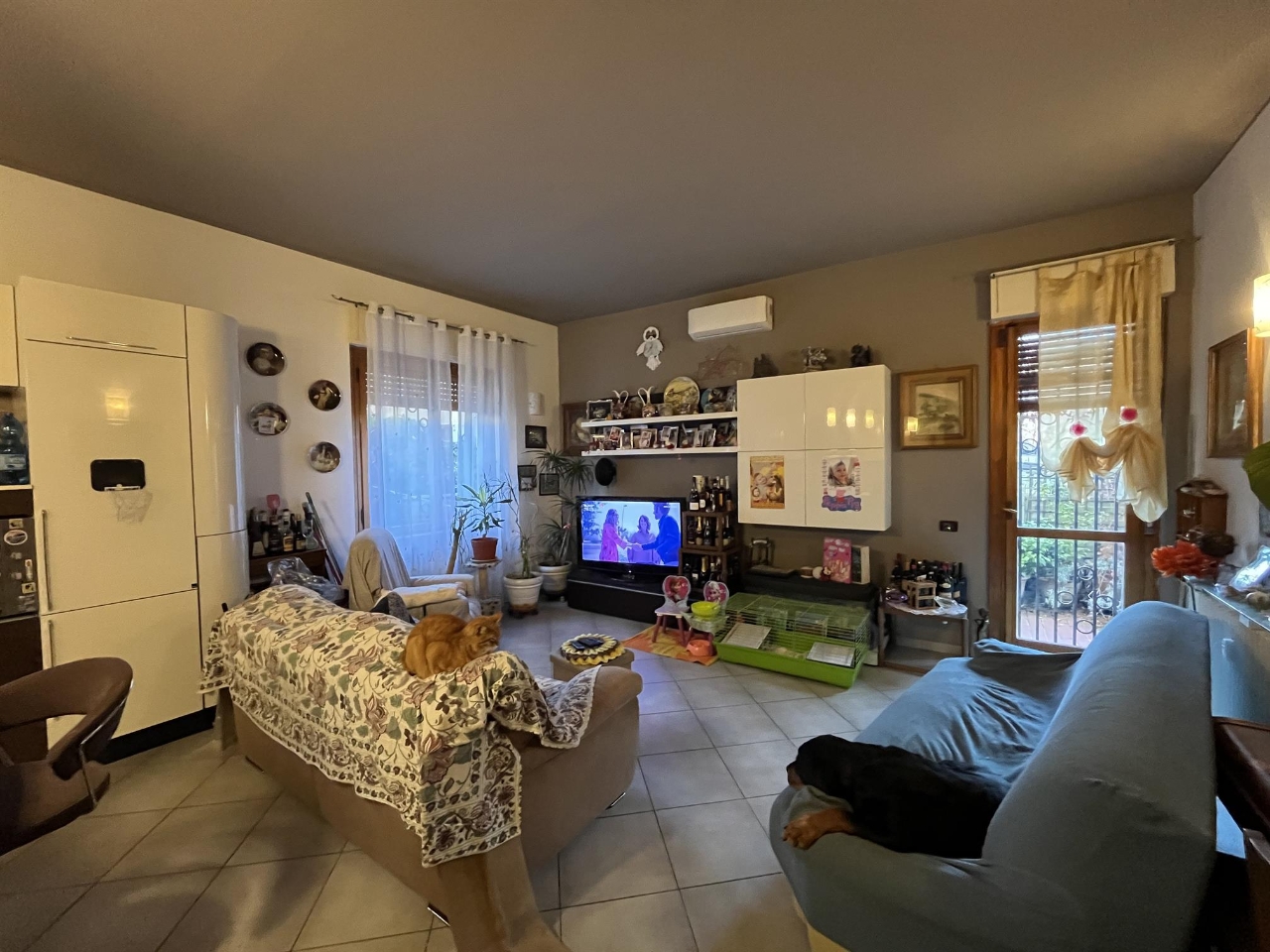 immagine annuncio 7 di 15