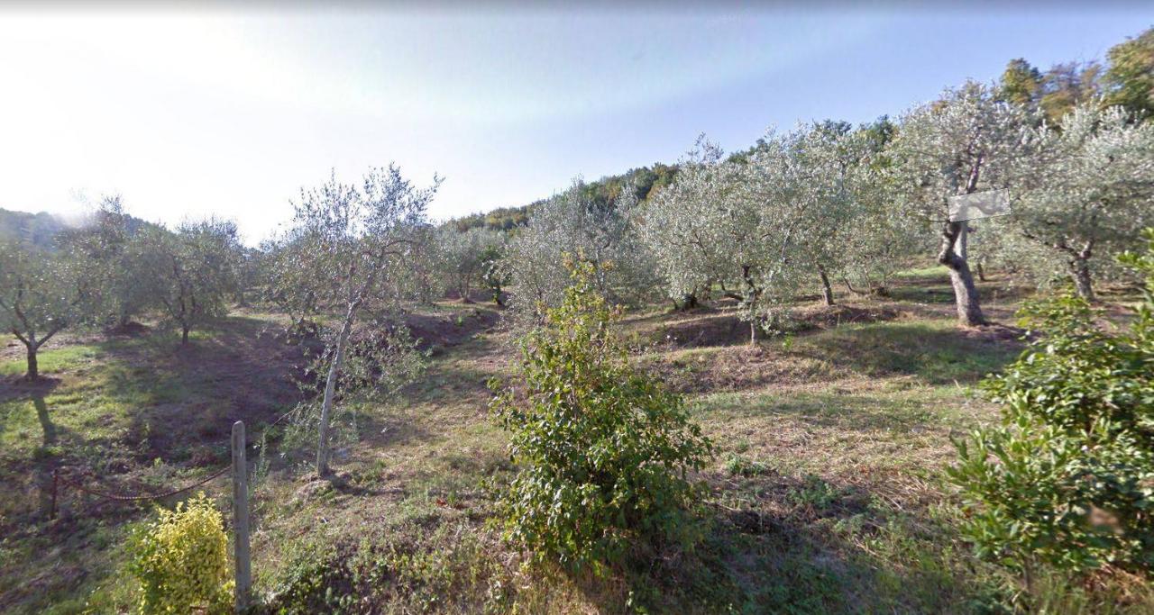Terreno edificabile in vendita a Monsummano Terme