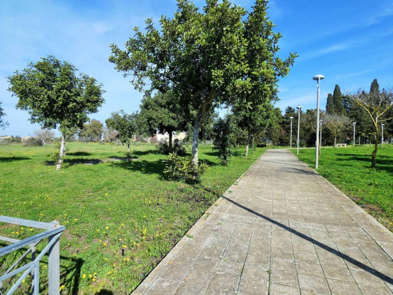 immagine annuncio 3 di 9