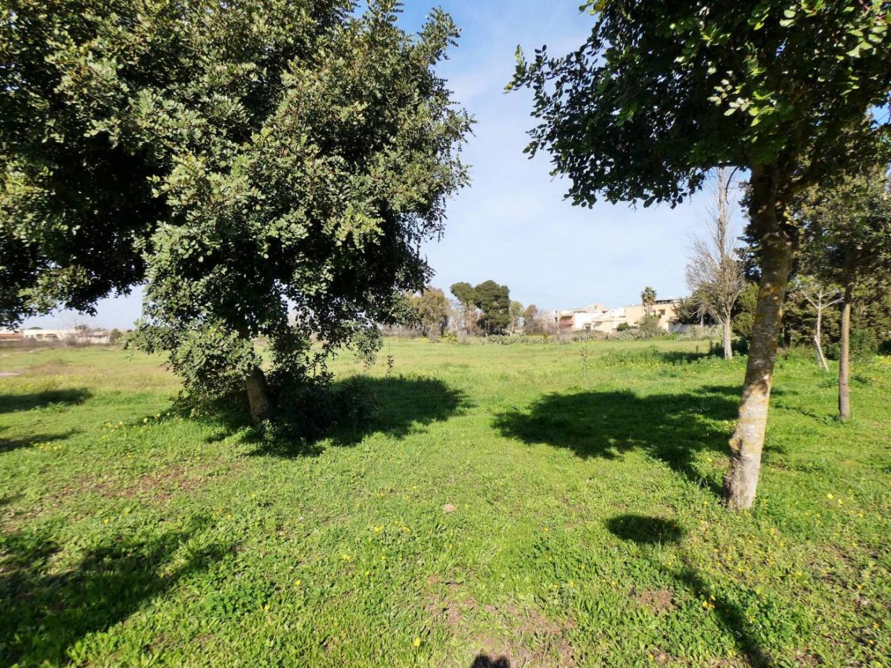 immagine annuncio 5 di 9