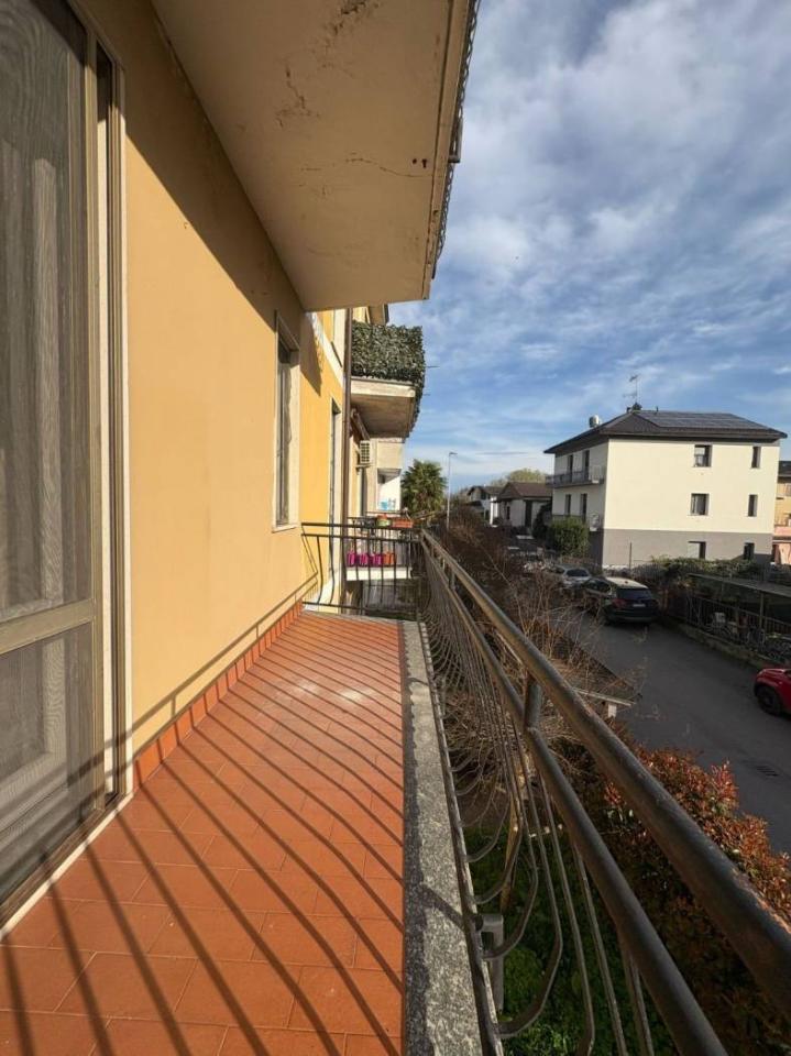 immagine annuncio 11 di 14