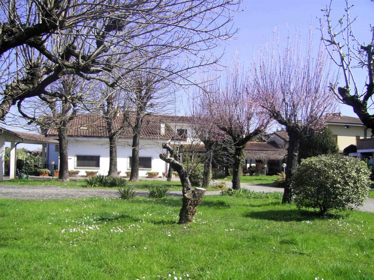 immagine annuncio 5 di 11