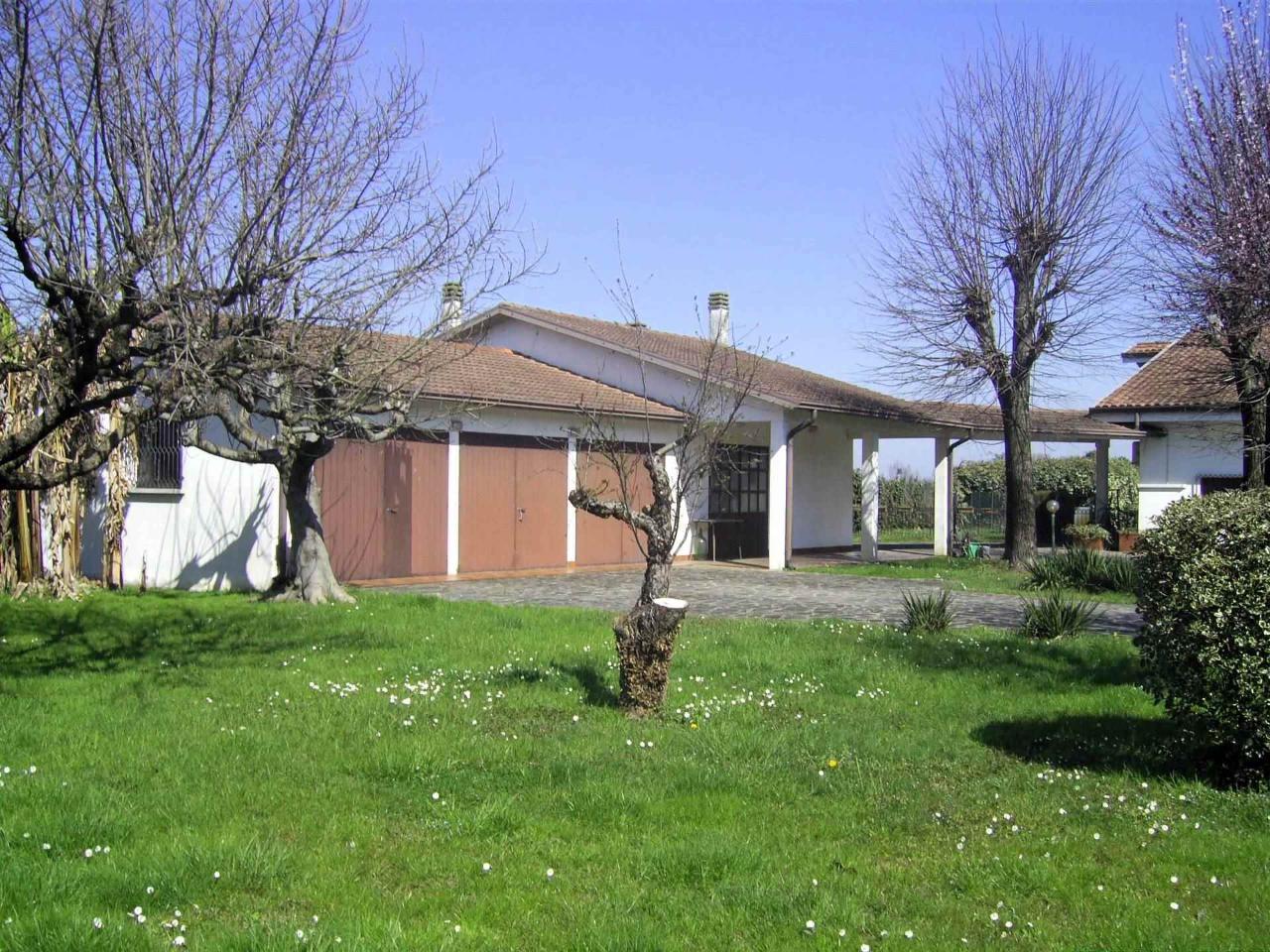 immagine annuncio 8 di 11