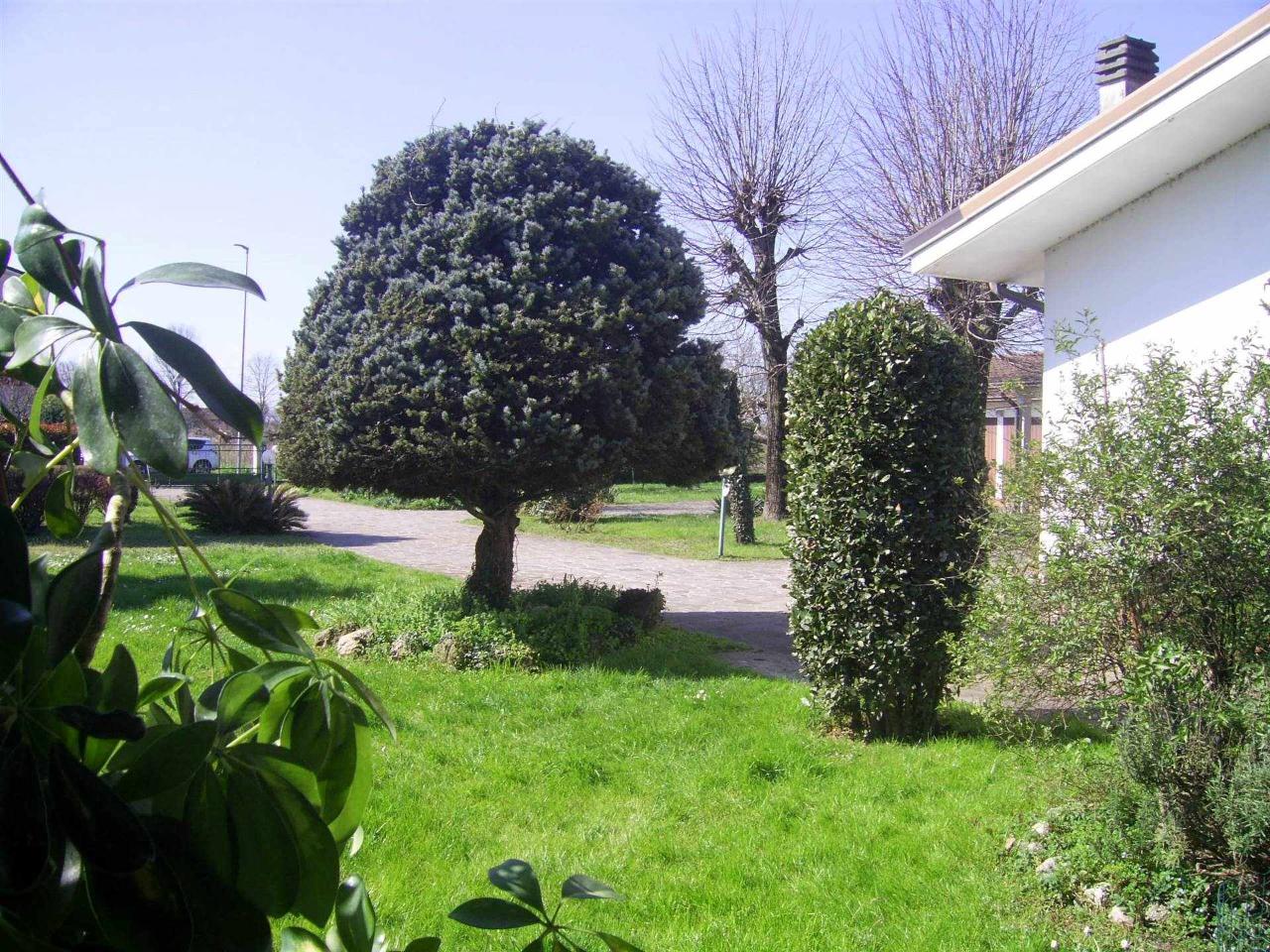 immagine annuncio 6 di 11
