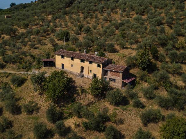 Country house or cottage in Via del Pozzetto 38, Pescia - Photo 1