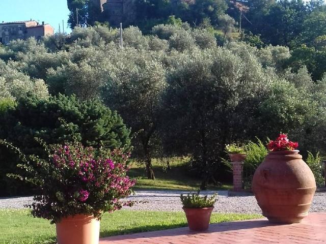 Country house or cottage in Via Buggiano Colle, Buggiano - Photo 1