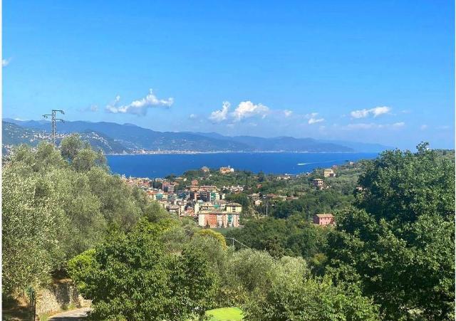 Villa in Via Crosa dell'Oro, Santa Margherita Ligure - Foto 1