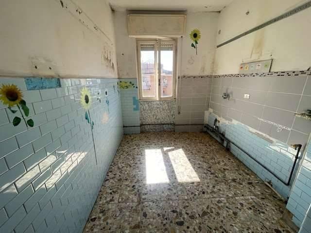 immagine annuncio 6 di 14