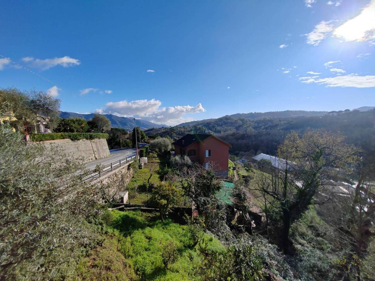 immagine annuncio 3 di 8