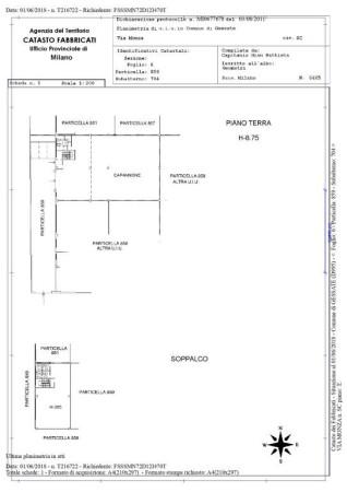 Capannone in Via Monza, Gessate, {3} - Planimetria 1