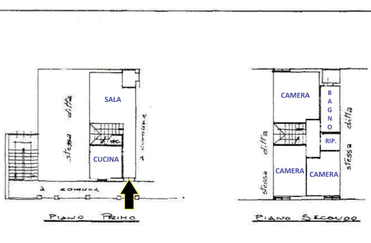 immagine annuncio 10 di 11