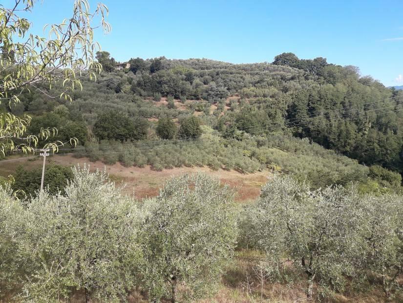 Terreno agricolo in vendita a Serravalle Pistoiese