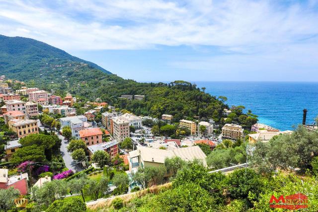 Villa in Via di Mezzo, Camogli - Foto 1