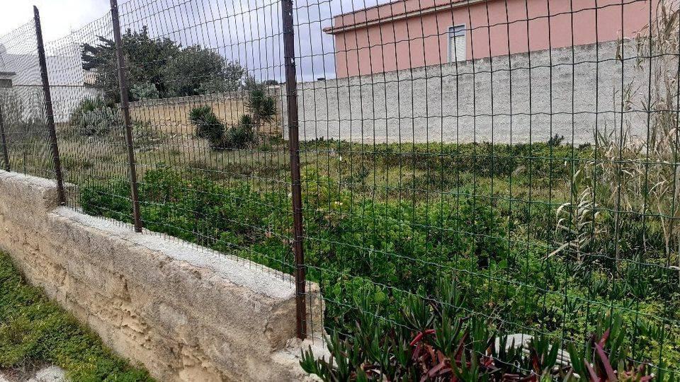 immagine annuncio 2 di 6