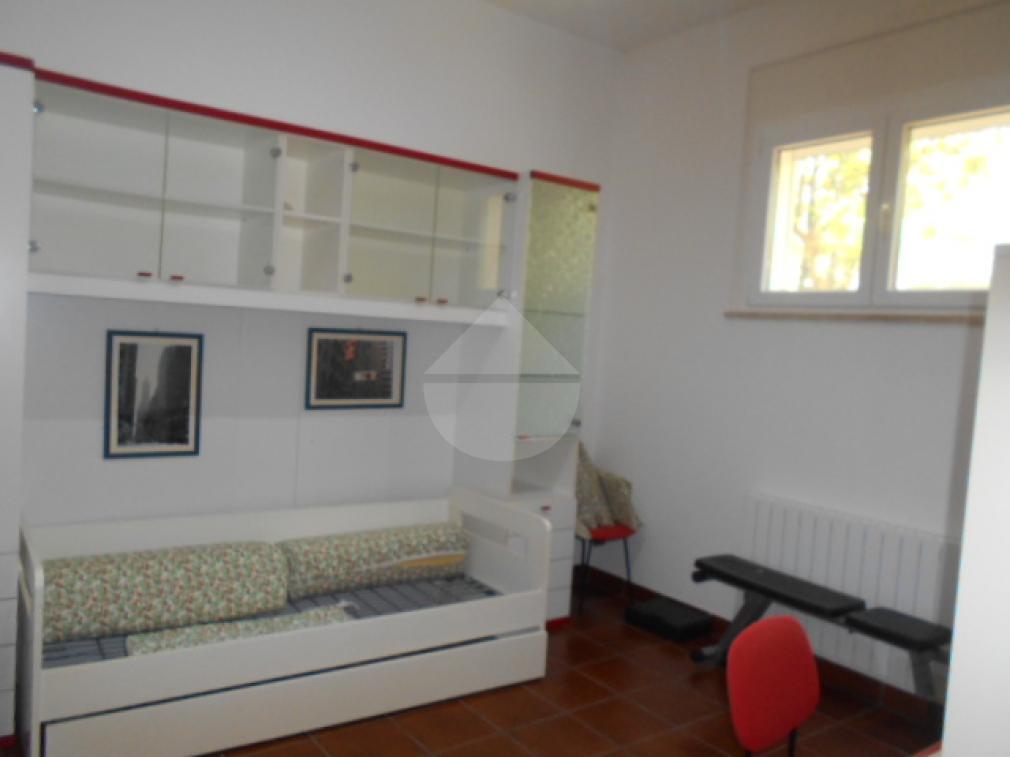 immagine annuncio 11 di 14