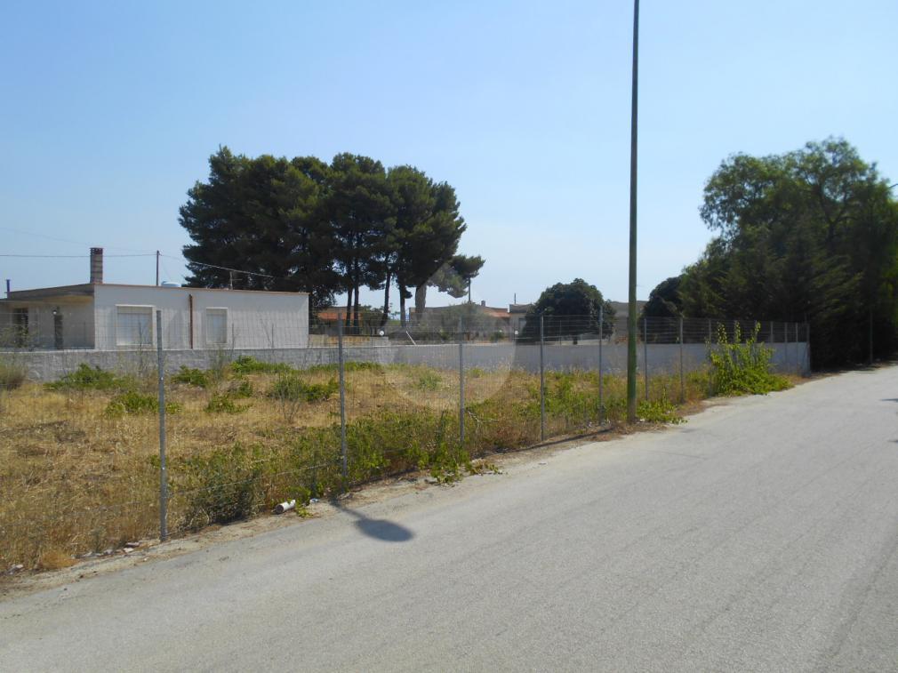 immagine annuncio 5 di 8