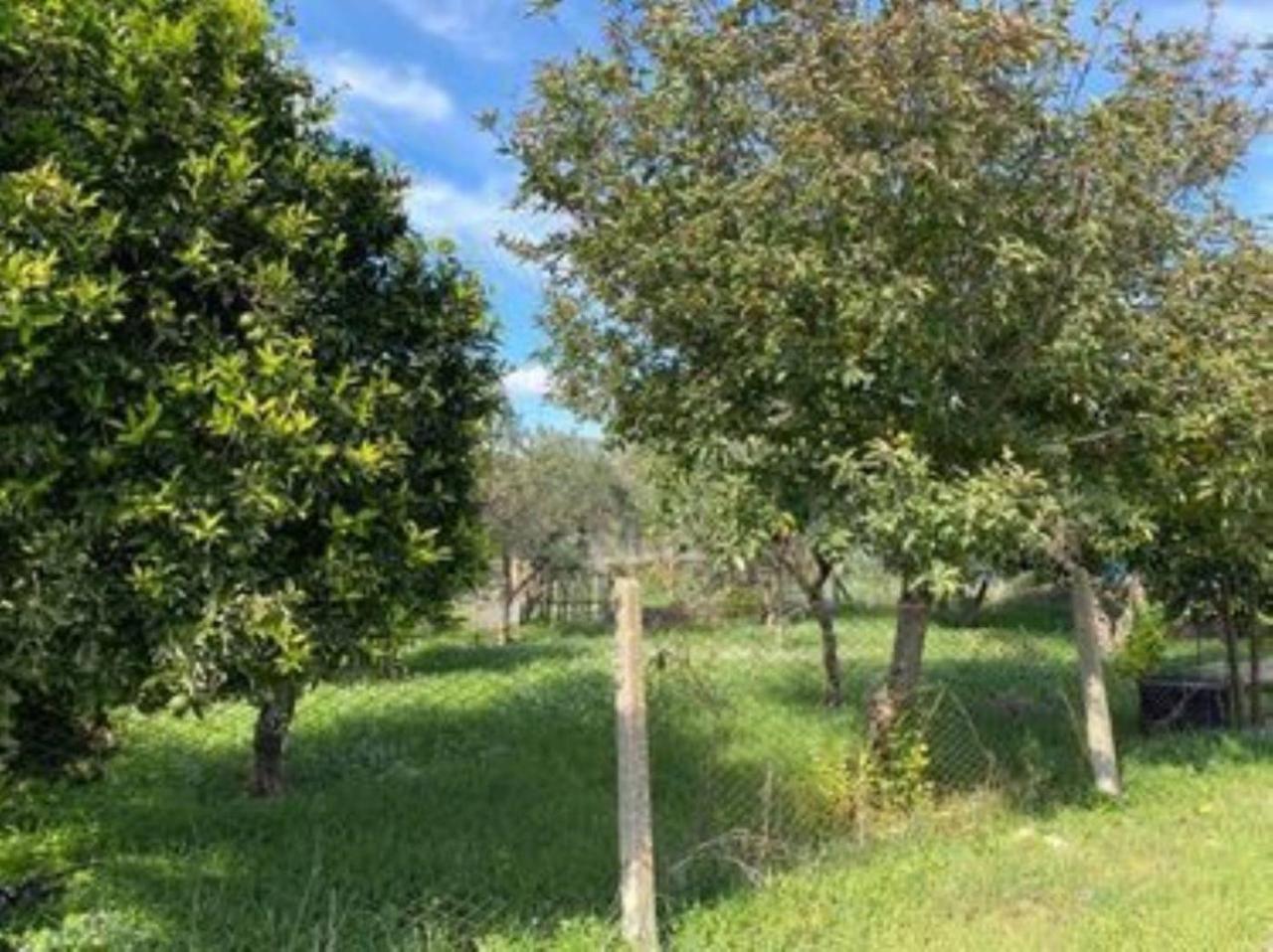 immagine annuncio 3 di 7