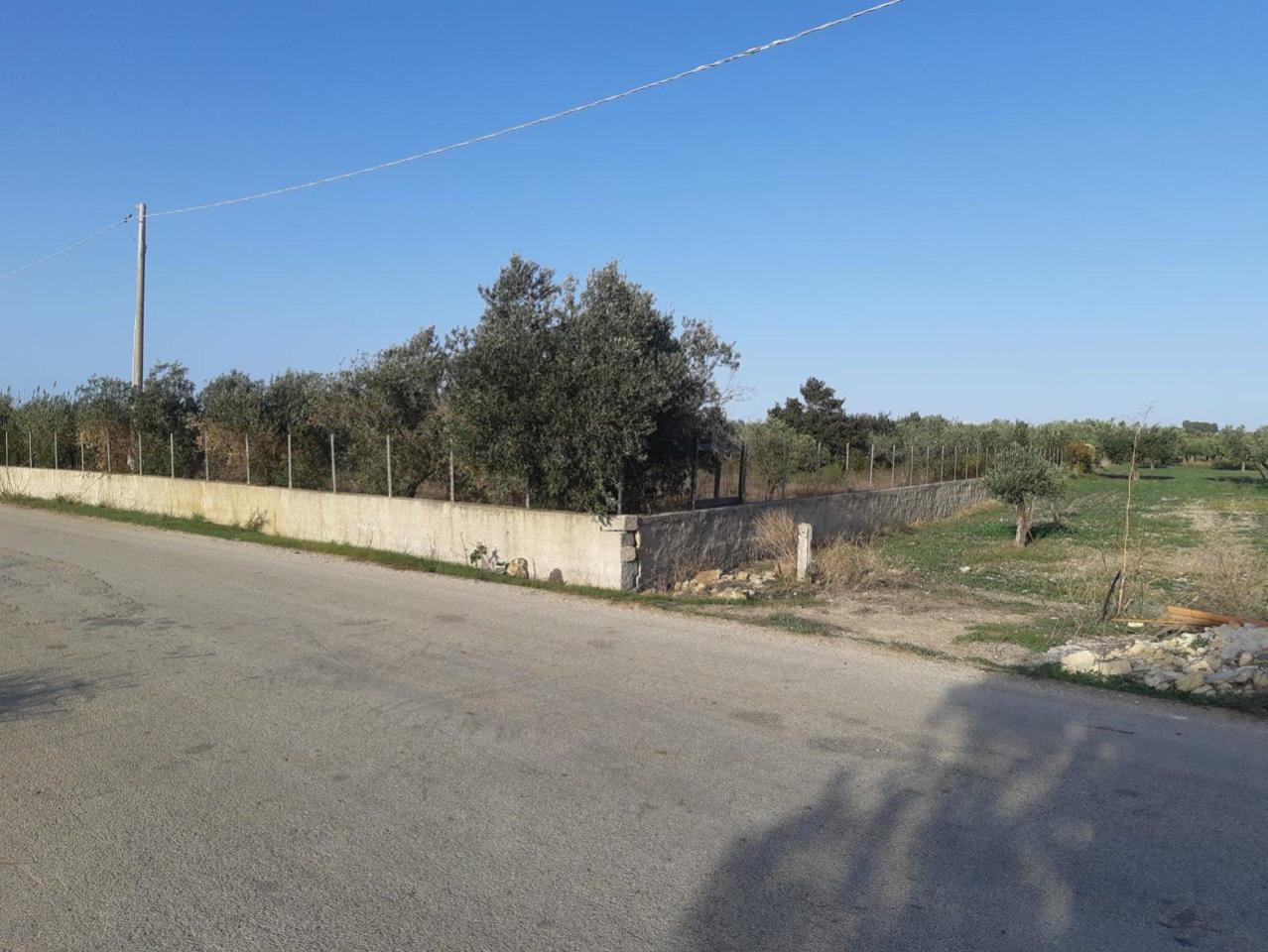 immagine annuncio 3 di 12