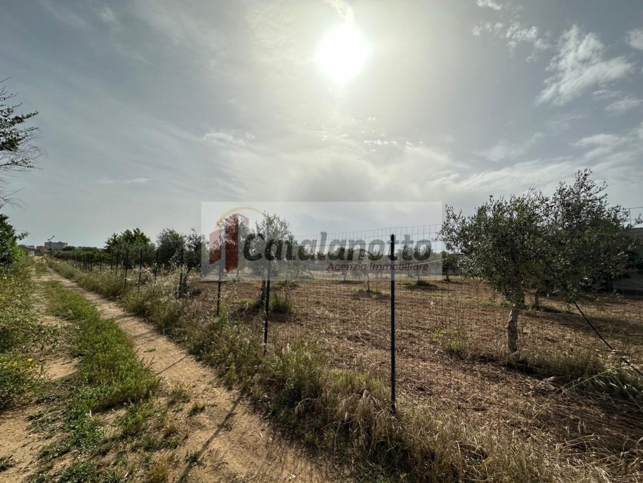 terreno agricolo in vendita a Castelvetrano