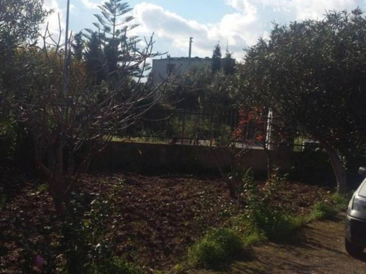 immagine annuncio 2 di 7
