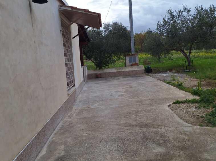 immagine annuncio 4 di 12