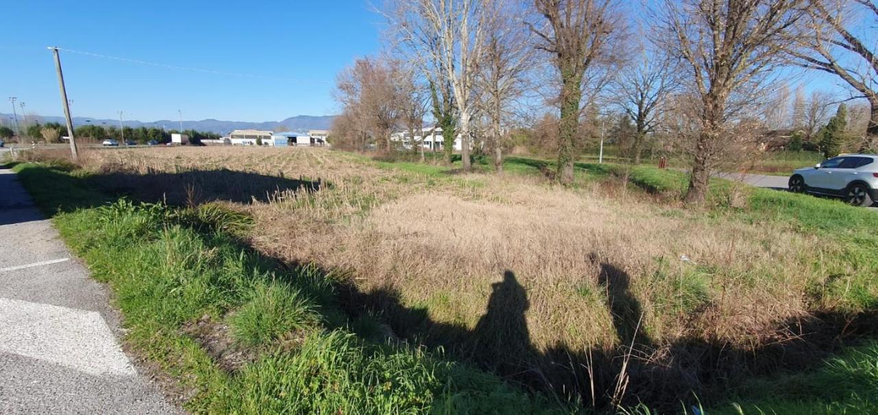 immagine annuncio 2 di 4