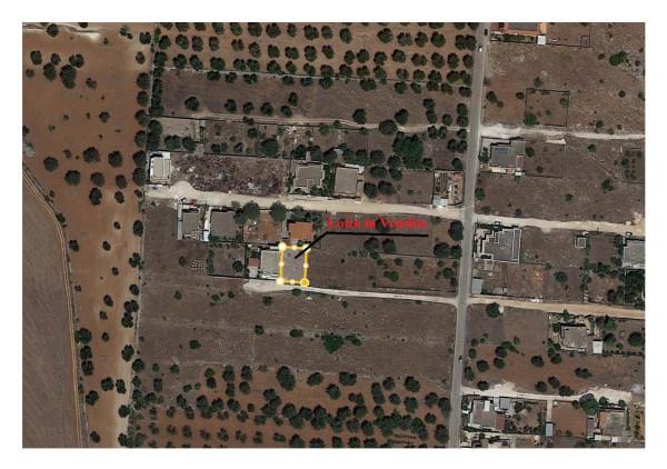 insertion image