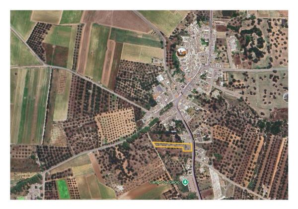 insertion image