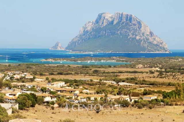 Villa, Loiri Porto San Paolo - Foto 1