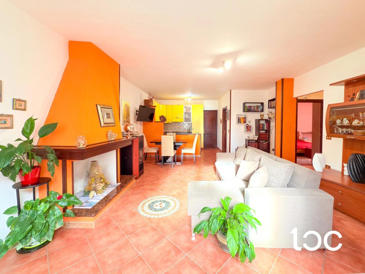 immagine annuncio 4 di 14