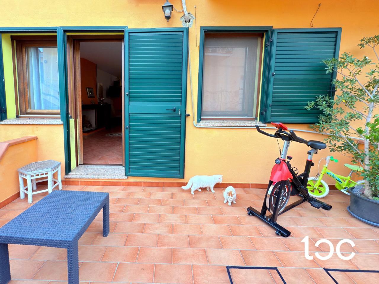 immagine annuncio 2 di 14