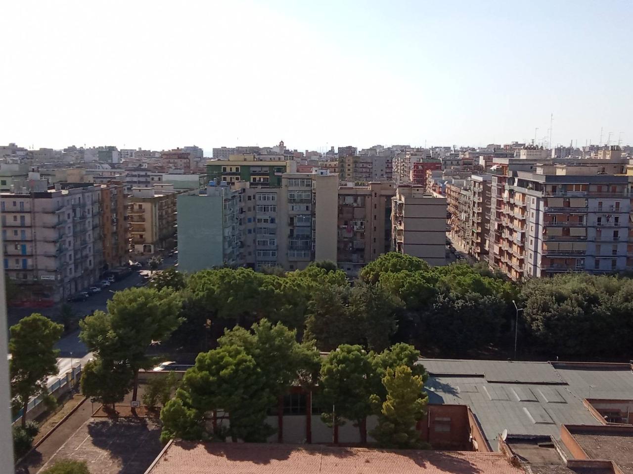 immagine annuncio 10 di 13