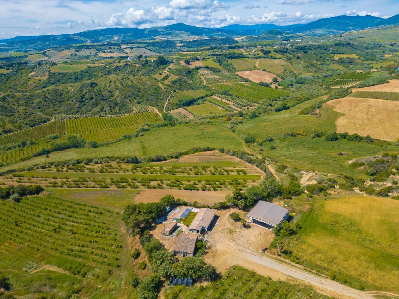 Azienda agricola in Via La Luna 2, Nova Siri, {3} - Foto 2
