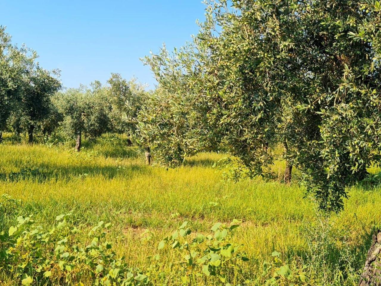 Terreno agricolo in vendita a Campobello Di Mazara