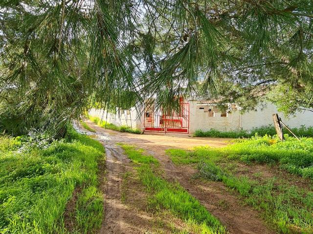 Villa in Via Errante Vecchia, Castelvetrano - Foto 1