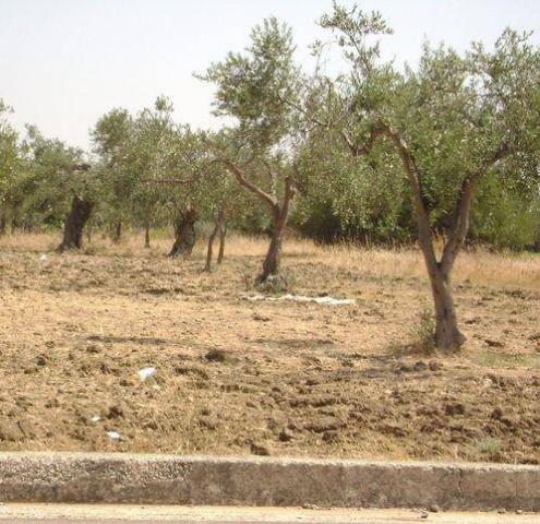 Villa in Marinella, Castelvetrano - Foto 1