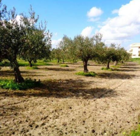 immagine annuncio 10 di 13