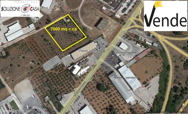 immagine annuncio 2 di 7