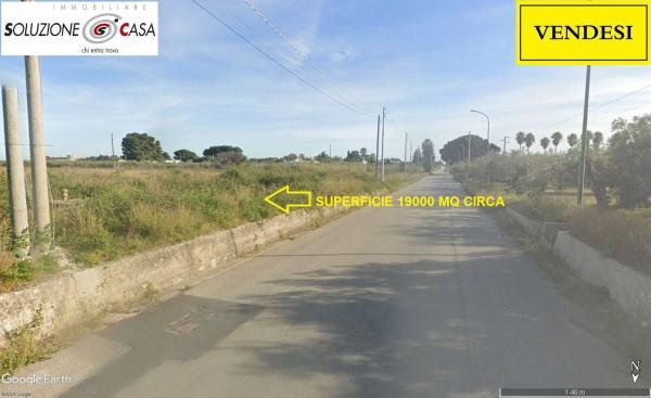 immagine annuncio 3 di 6