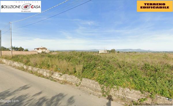 immagine annuncio 4 di 6