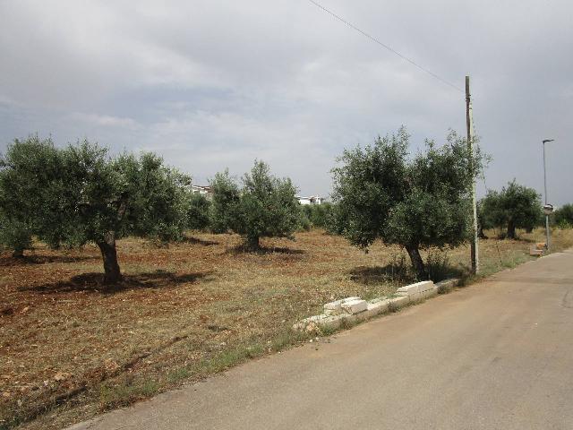 Terreno edificabile in Via Ernesto Tagliaferri, Statte - Foto 1