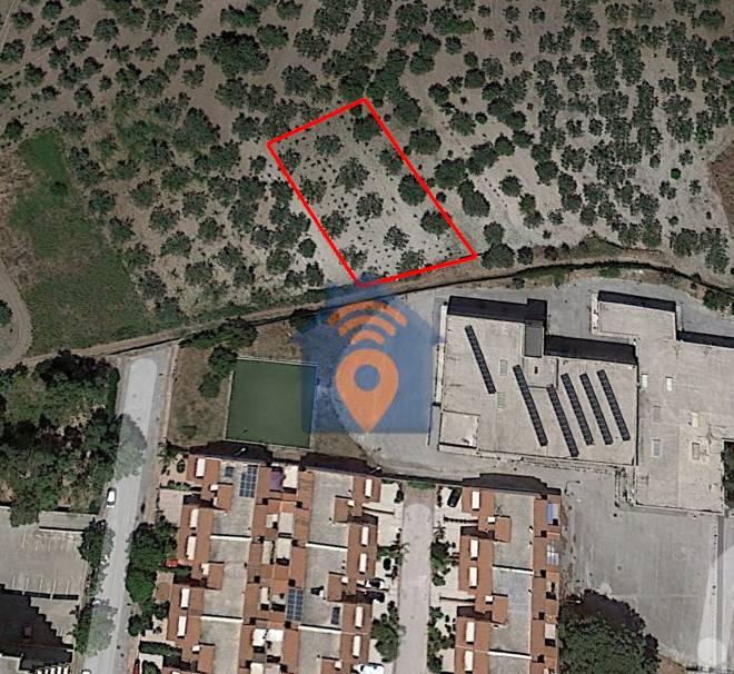 immagine annuncio 2 di 3