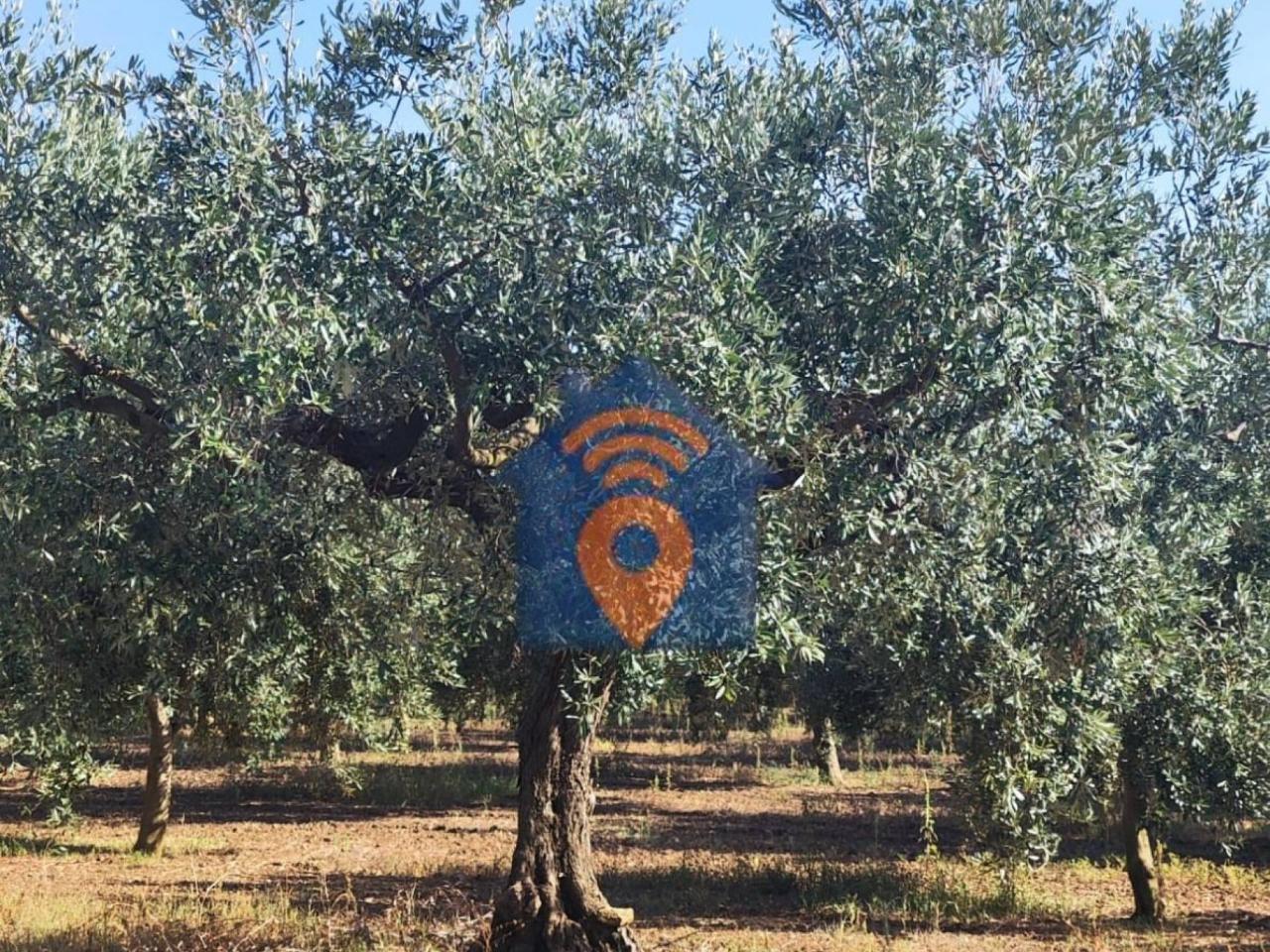 immagine annuncio 2 di 3