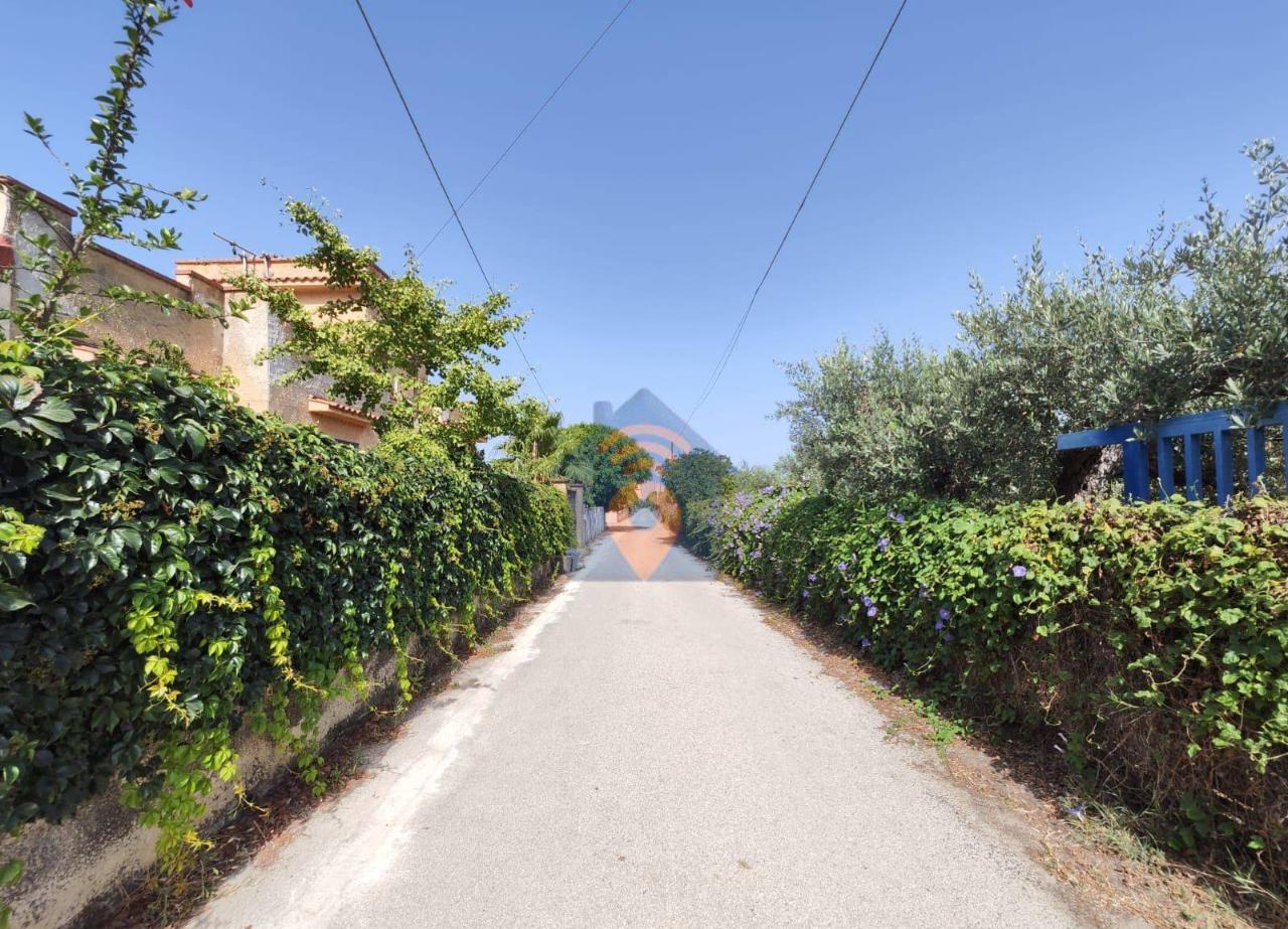 immagine annuncio 12 di 14